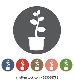 Sapling icon set.Vector illustration
