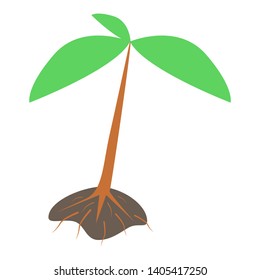 sapling with root isolated on white background. vector illustration