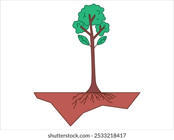 Fase de crescimento da árvore de aplainamento estágio de cultivo jardinagem etapa de progresso crescente sistema raiz planta colorido ícone de design conjunto