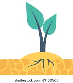 Sapling Vector Icon