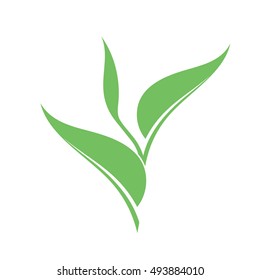 Sapling. Vector illustration. Green plant with leaves on white background