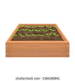 Sapling in wooden box vector design illustration isolated on white background