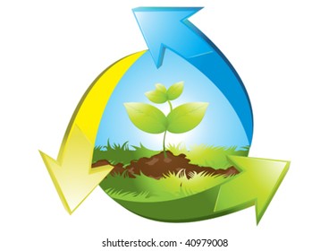 saplings and grass