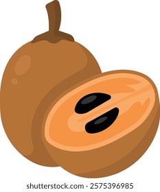 Sapodila Fruit Cartoon Illustration Design