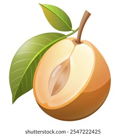 Sapodilla fresh fruit icon vector. A good fruit for health. Healthy food and vitamin concept.  Vector illustration isolated on white background.