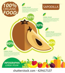 Sapodilla fruit. Infographic template. vector illustration.