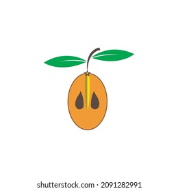 icono de diseño del logotipo de la fruta de la sapodilla
