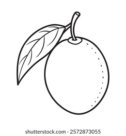 Sapodilla fruit on white background.