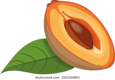 Sapodilla Fruit Sliced with Leaf Illustration Isolated on White Background	