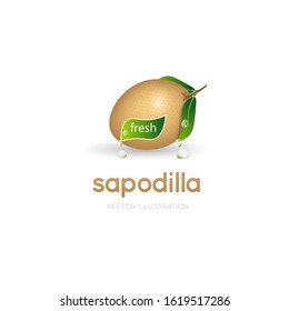 sapodilla fruit vector design isolated on white background. fresh fruit vector