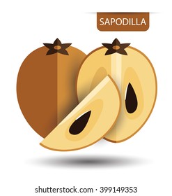Sapodilla fruit vector illustration