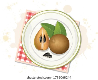 Sapodilla fruit vector illustration with half piece of sapodilla fruit from a top angle with green leave