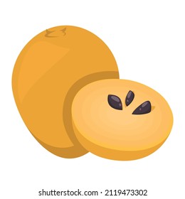 Sapodilla fruit vector isolated. Tropical berry, sweet natural product. Exotic food full of vitamins.