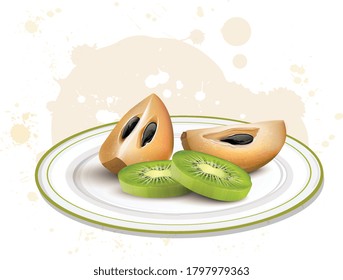 Sapodilla and kiwi fruit slices vector illustration