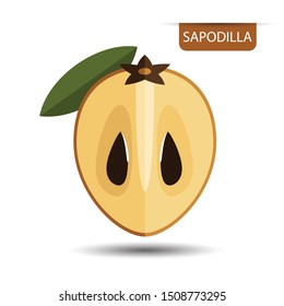 sapodilla fruit drawing