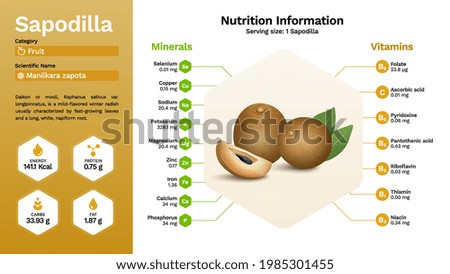 Sapodilla and its nutritional properties -Vector illustration