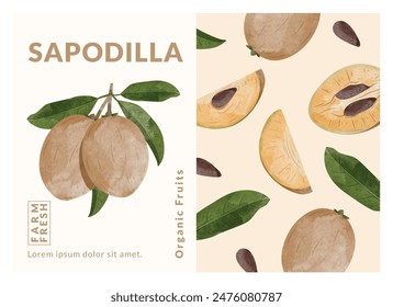 Sapodilla packaging design templates, watercolour style vector illustration.