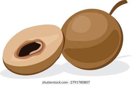 sapodilla, ripe sapodilla vector drawing.