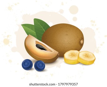 Sapodilla vector illustration with banana slices and blueberries