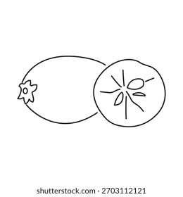 Ilustración vectorial Sapodilla, diseño sencillo