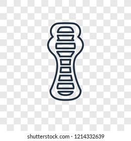 Sarcophagus concept vector linear icon isolated on transparent background