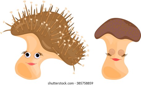 Sarcophyton and  sleeping Sarcophyton