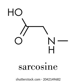 Sarcosine (N-methylglycine) molecule. Skeletal formula.
