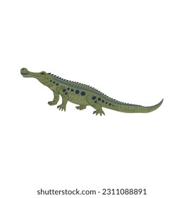 Sarcosuchus extinct genus of crocodile, green swimming dinosaur ancient dino cartoon character. Vector crocodile large basal archosaur reptile