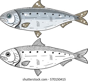 sardina