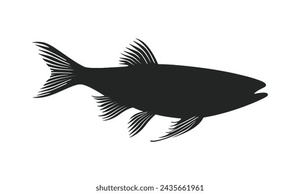 Sardine black silhouette white background