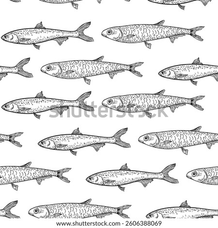 Sardine black white vector seamless pattern. Monochrome school fish repeat background. Sprat, herring, and anchovy by engraving hand drawn. Sea fishes ink drawing for packaging, and marine design.