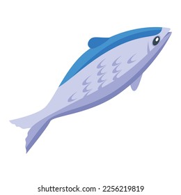 Sardine fish icon isometric vector. Seafood nature. Iwashi dry