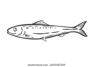 Desenho contorno de peixe sardinha em estilo doodle. Pequeno animal marinho e frutos do mar populares usados na cozinha mediterrânea. Produto de pesca cru para cozinhar refeições tradicionais. Ilustração vetorial.
