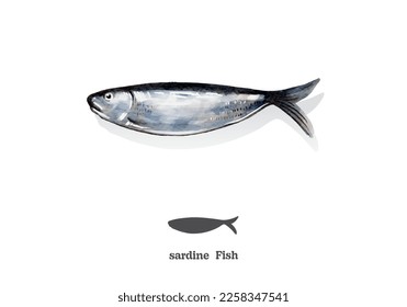 sardine fish watercolor sketch line art. vector illustration.

