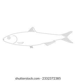 sardine icon vector illustration symbol design