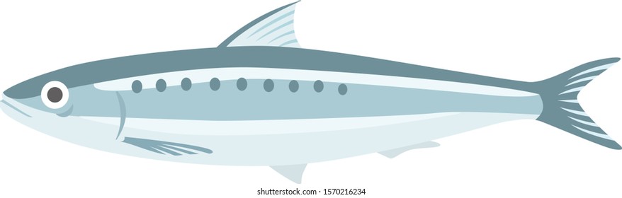 
sardine Illustration.
Illustration of fish.