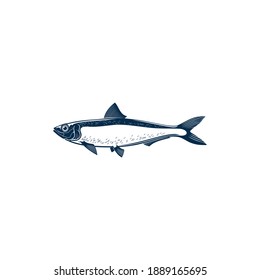 Sardine Isolated Fish Hand Drawn Sketch. Vector Bluefin Marine Animal, Cold Blooded Sardine Saltwater Aquatic Habitat. Pilchard Oily Forage Small Epipelagic Fish In Herring Clupeidae. Sardina Icon