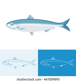 Sardine, Sardina pilchardus, vector with variations