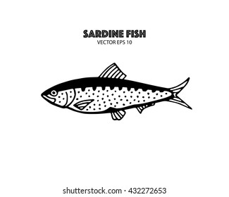 sardine. sea fish. vector