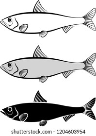 sardine - vector illustration