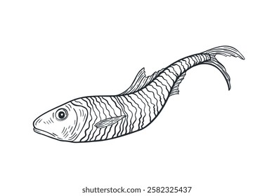 Sardine vector illustration in black and white hand drawn. Herring sketch art for seafood packaging, logos, and prints. Monochrome sprat drawing engraving for marine-themed designs.