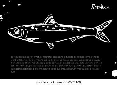 Sardine.Vector isolated illustration. Ink. Hand drawn. Illustration for cooking site, menus, books. 