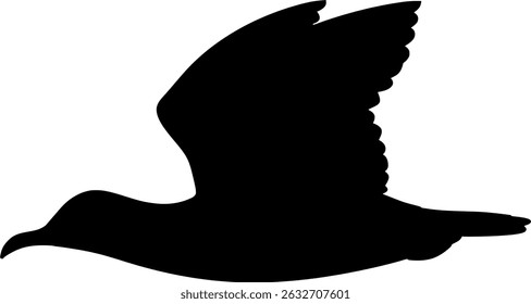 Sargasso Shearwater Silhouette Vector Bird Illustration
