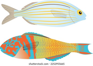 Sarpa Salpa and Thalassoma Pavo (Ornate fish). Two beautiful Mediterranean fish. Vector illustration. Isolated.