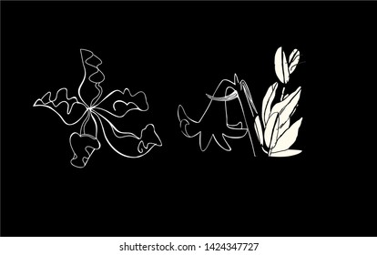 sarracenia and lily on a black background