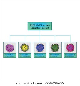 SARS-CoV-2 variants or strains. 
variants of concern