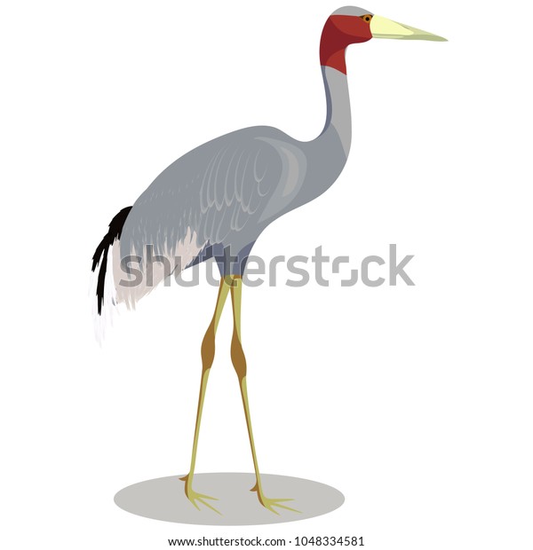 Sarus Crane Cartoon Stock Vector (Royalty Free) 1048334581 | Shutterstock