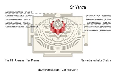 Sarvarthasadhaka Chakra. The fifth Avarana Ten Pranas. Life-Forces. Respiratory System.
Maha Meru Shree Yantra for Increasing Abundance Rectification Tool Vastu. Sri Vidya Devotional Item for Altar.