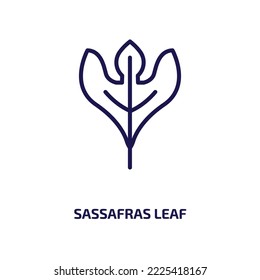icono de la hoja de sassafras de la colección de la naturaleza. Delgada hoja de sassafras lineales, espina dorsal, icono de contorno sassafras aislado en fondo blanco. Signo de hoja sassafras vectorial de línea, símbolo para web y móvil