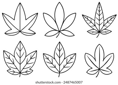 Sassafras Leaf line art blending nature's elegance with minimalist stroke